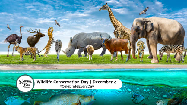 Wildlife Conservation Day