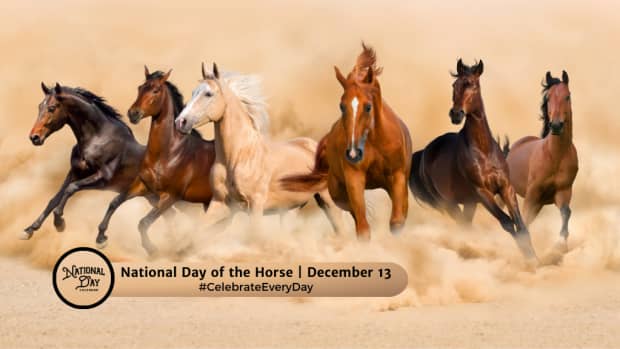 National Day of the Horse