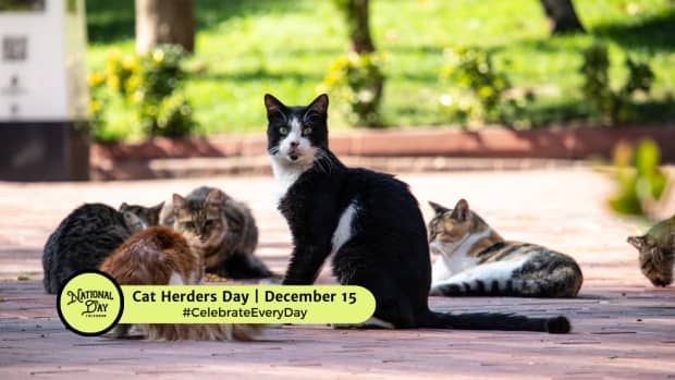 December 15 - National Day Calendar