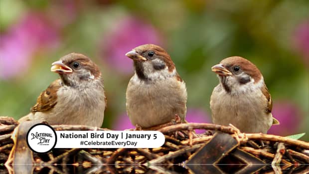 National Bird Day