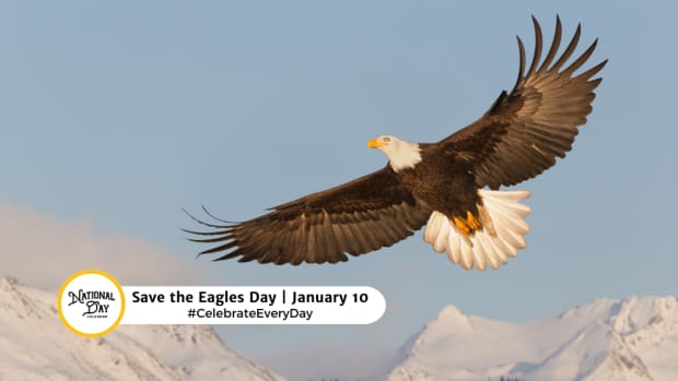 Save the Eagles Day