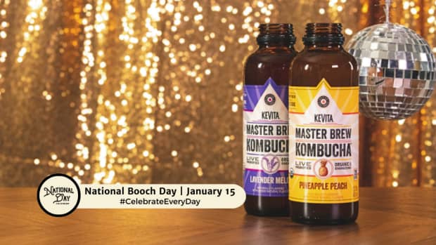 National Booch Day