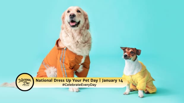 Dress Up Your Pet Day