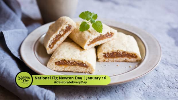 National Fig Newton Day