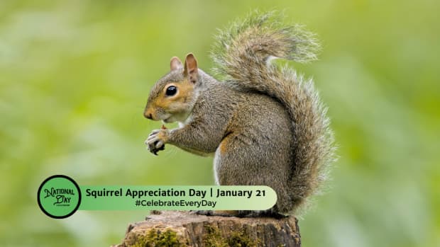 Squirrel Appreciation Day