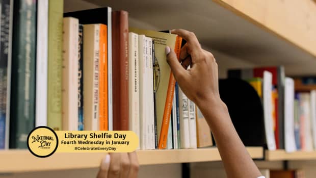 Library Shelfie Day