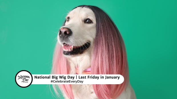 Big Wig Day