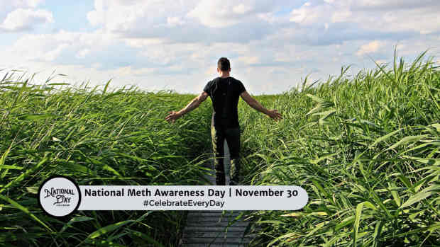 NATIONAL METH AWARENESS DAY | November 30