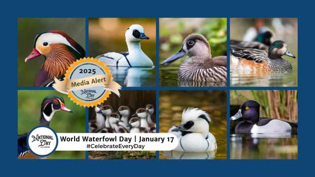 Media Alert | WORLD WATERFOWL DAY | January 17