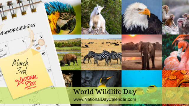 World Wildlife Day - March 3