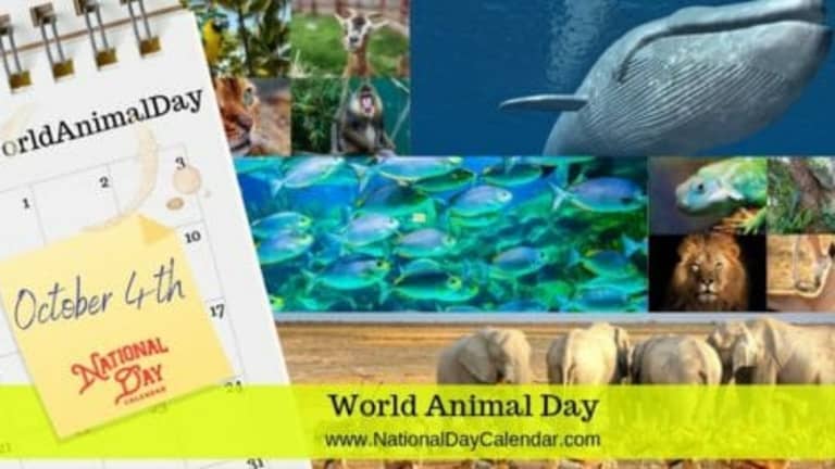 world-animal-day-october-4-national-day-calendar