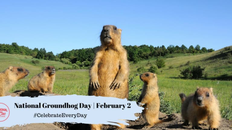 NATIONAL GROUNDHOG DAY - February 2 - National Day Calendar