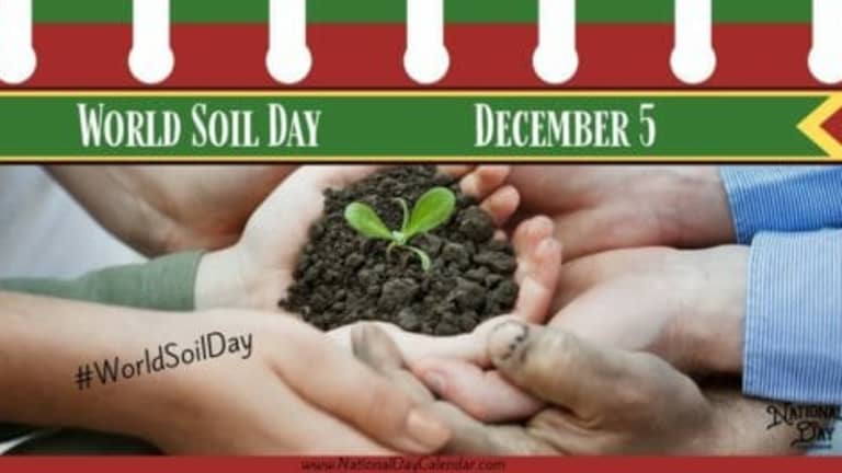 WORLD SOIL DAY - December 5 - National Day Calendar