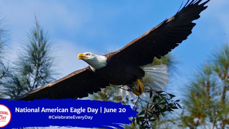 SAVE THE EAGLES DAY - January 10 - National Day Calendar