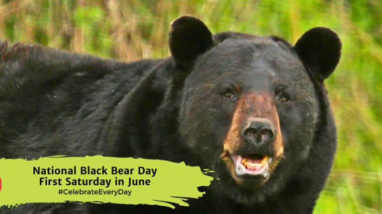 NATIONAL BLACK BEAR DAY - First Saturday in June - National Day