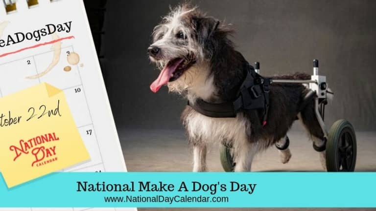 new-day-proclamation-national-make-a-dog-s-day-october-22