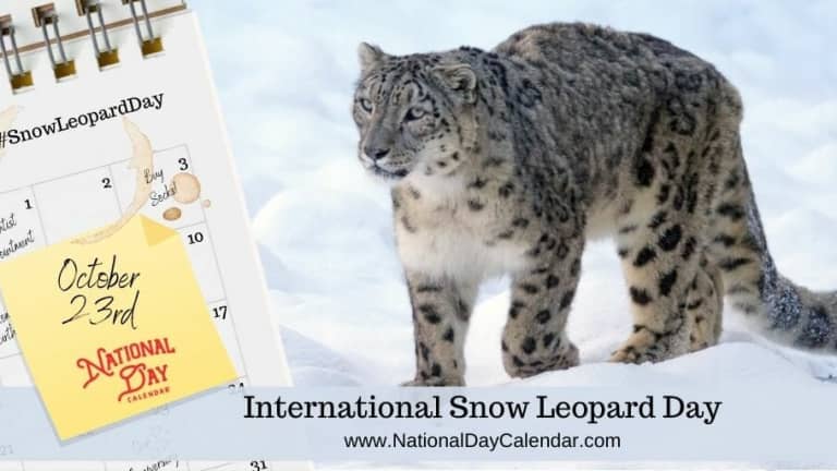 Right Now It Is Snow Leopards, Tomorrow It Will Be You: Here's How