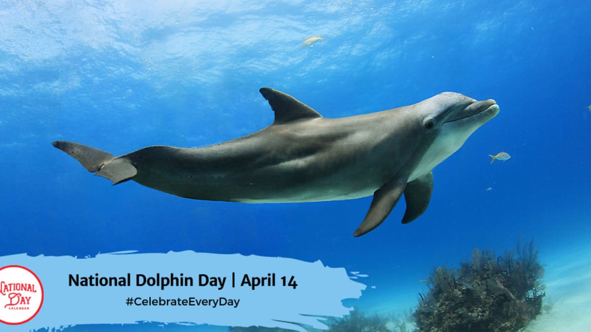 NATIONAL DOLPHIN DAY - April 14 - National Day Calendar