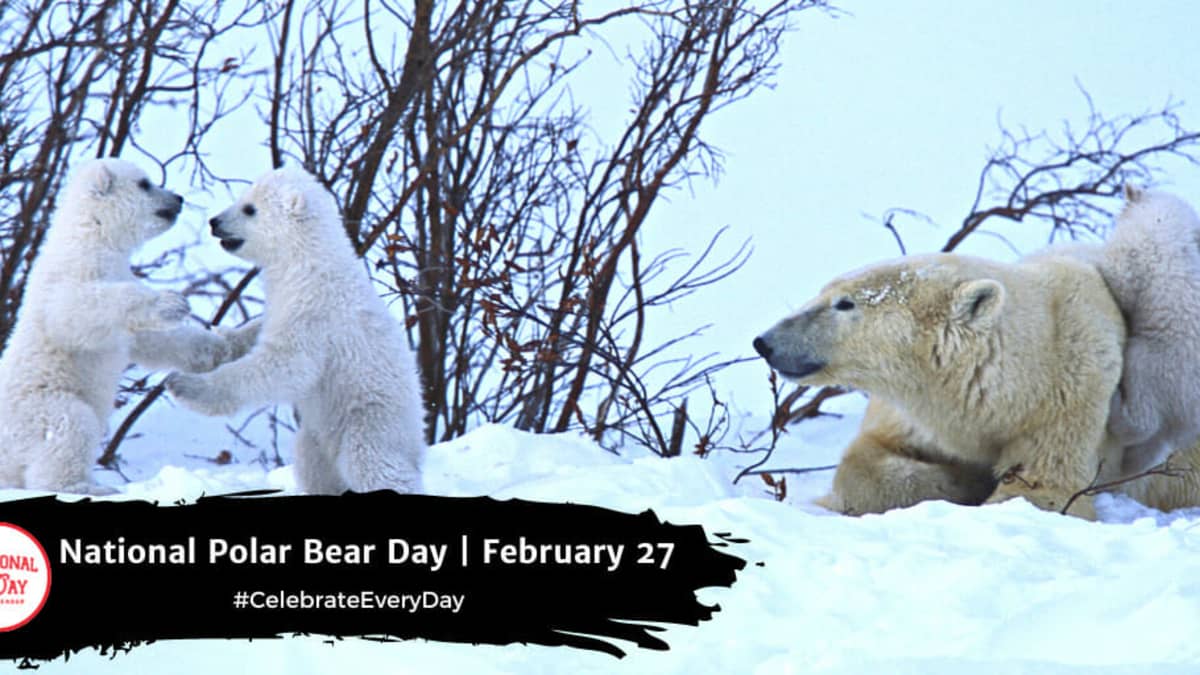 INTERNATIONAL POLAR BEAR DAY - February 27 - National Day Calendar