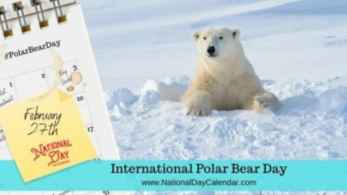 NATIONAL POLAR BEAR DAY - February 27 - National Day Calendar