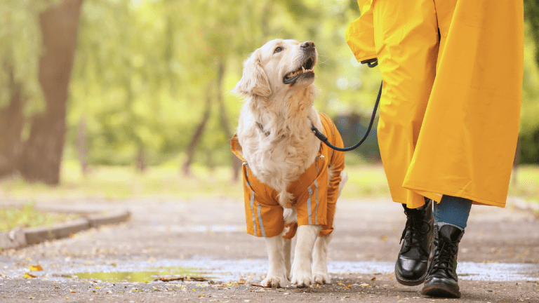 NATIONAL TAKE A WALK IN THE PARK DAY - March 30 - National Day Calendar