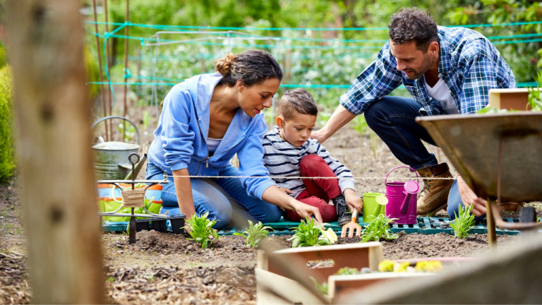 Gardening Month By Month - January