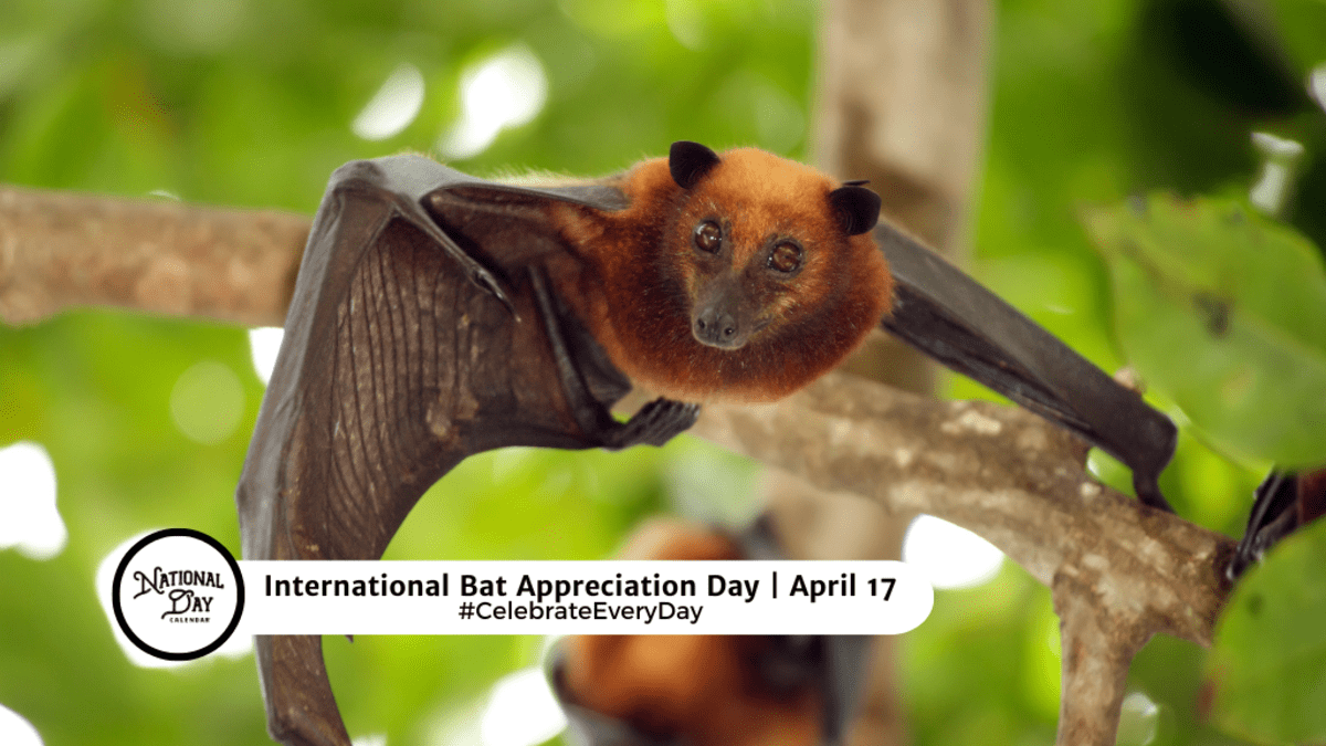 National Bat Appreciation Day: Why bats are good?