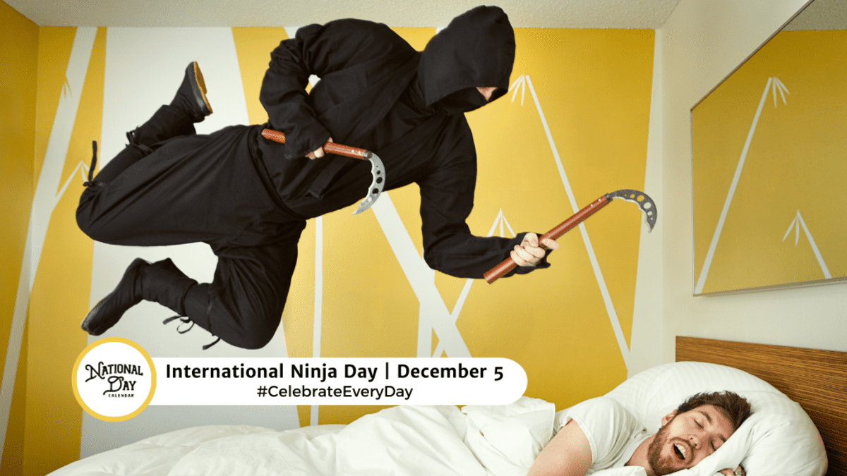 Day of the Ninja – Fun Holiday