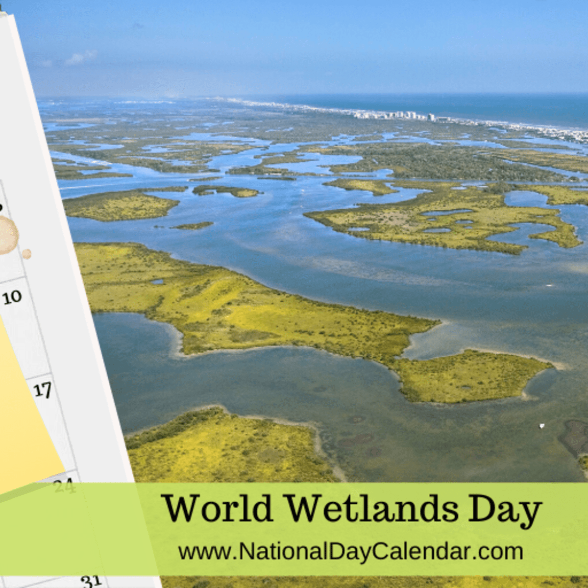 World Wetlands Day, Community Events, News