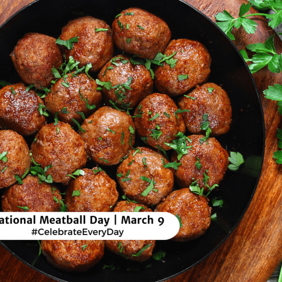 NATIONAL MEATBALL DAY - March 9 - National Day Calendar