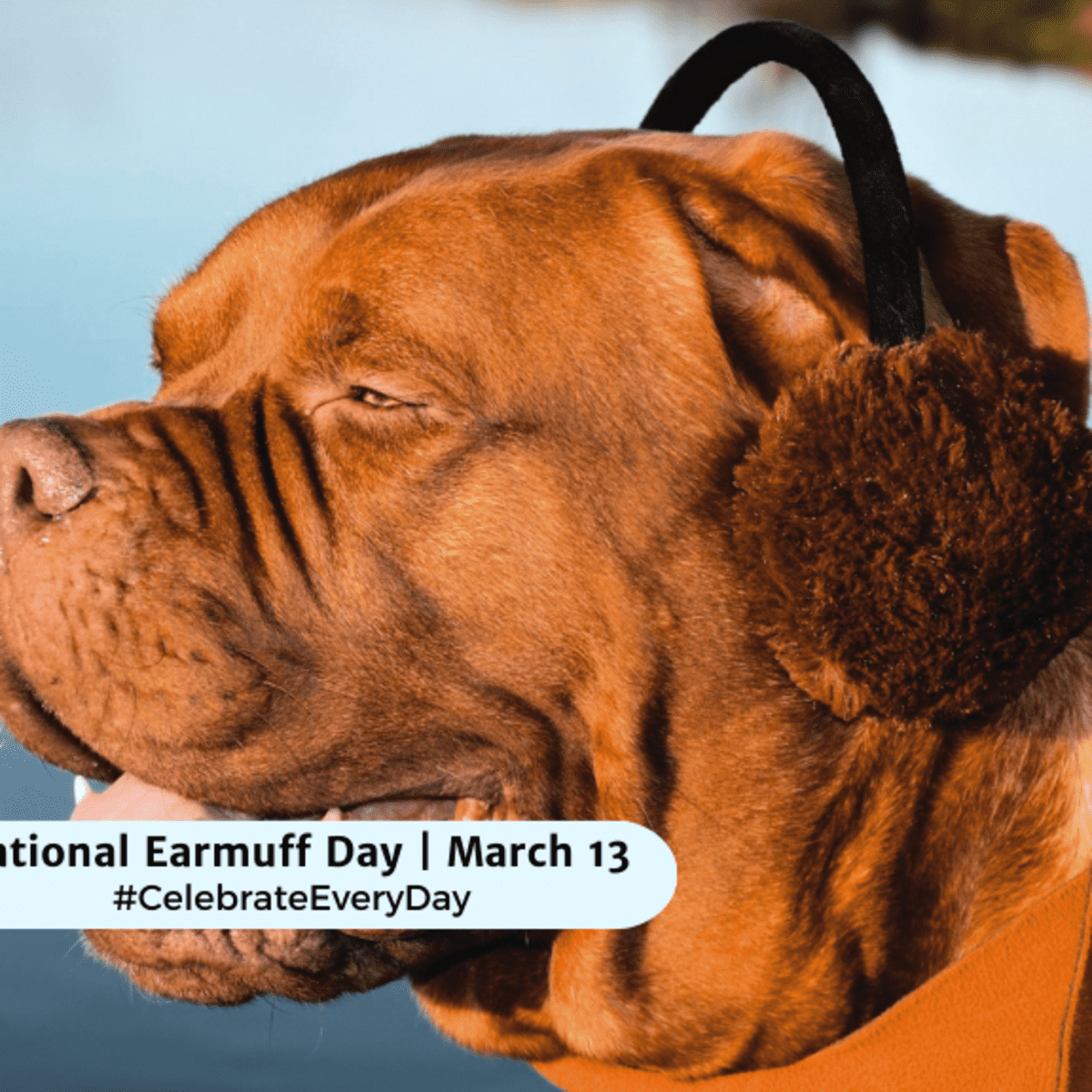 NATIONAL EARMUFF DAY - March 13 - National Day Calendar