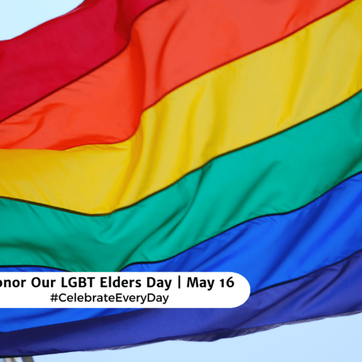 HONOR OUR LGBT ELDERS DAY - May 16 - National Day Calendar