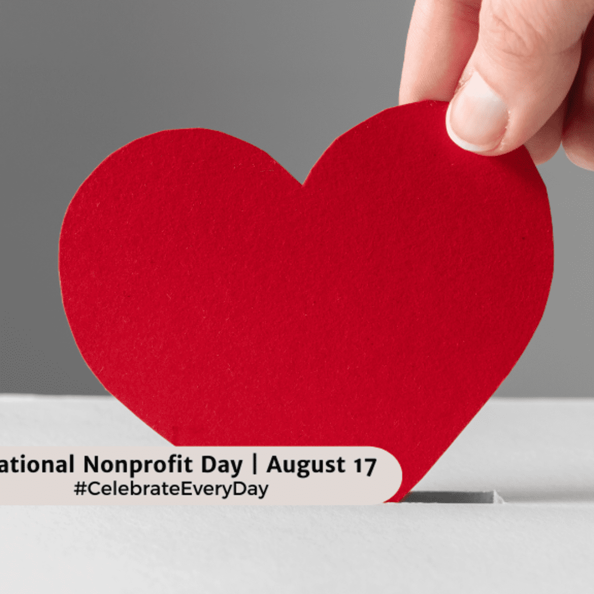 Non Profit Day - Khám Phá Ý Nghĩa và Vai Trò Trong Cộng Đồng