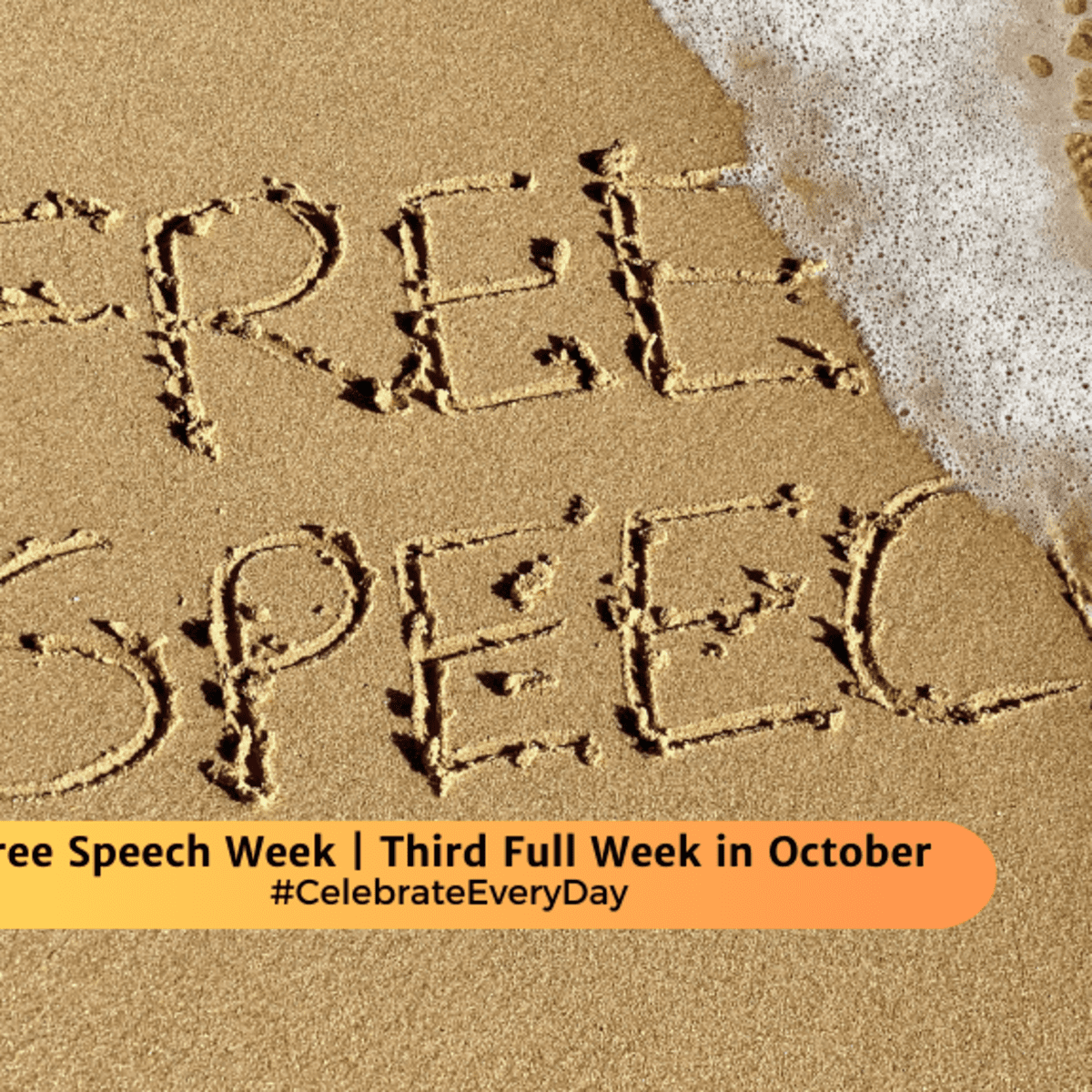 NFSW - National Freedom of Speech Week