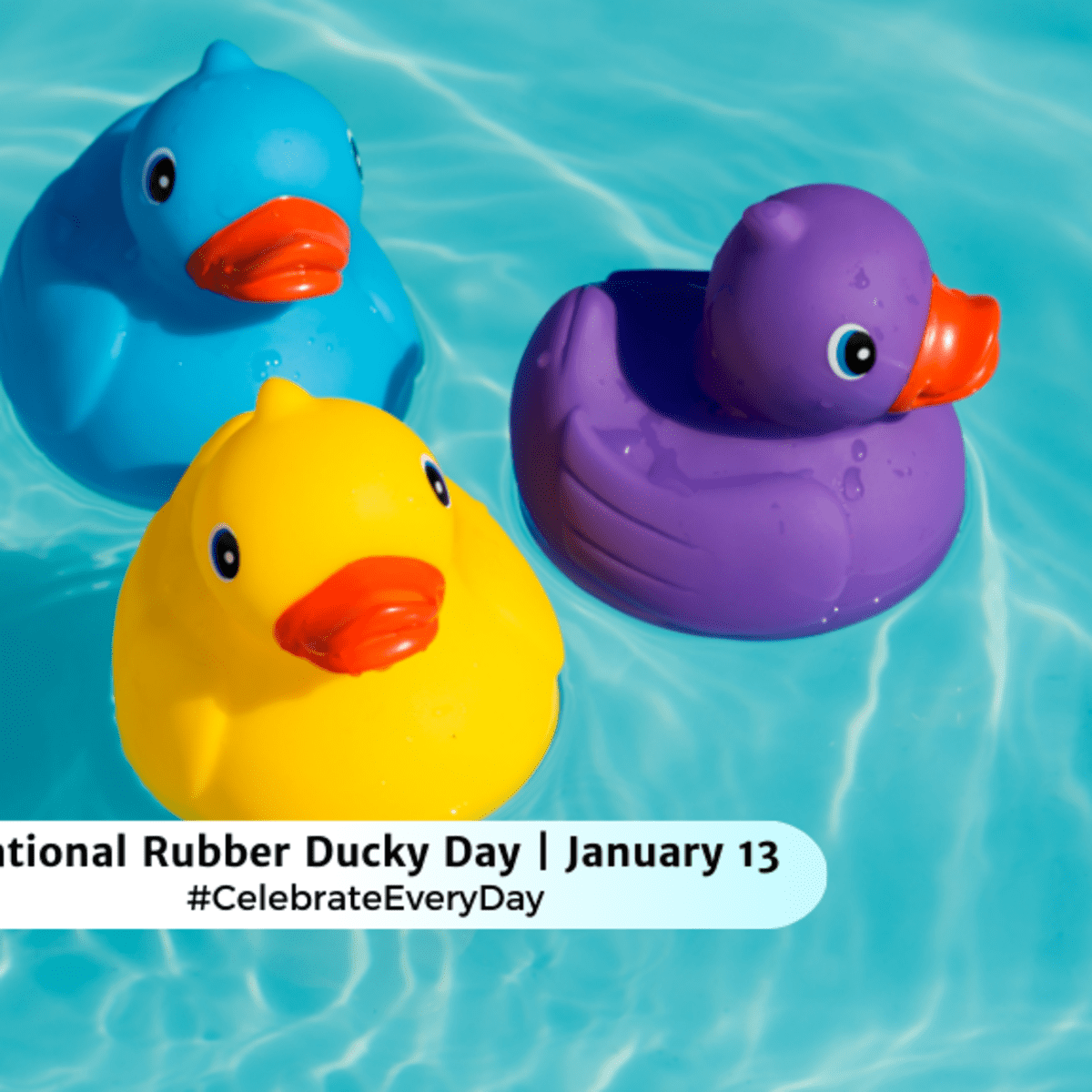 NATIONAL RUBBER DUCKY DAY - January 13 - National Day Calendar