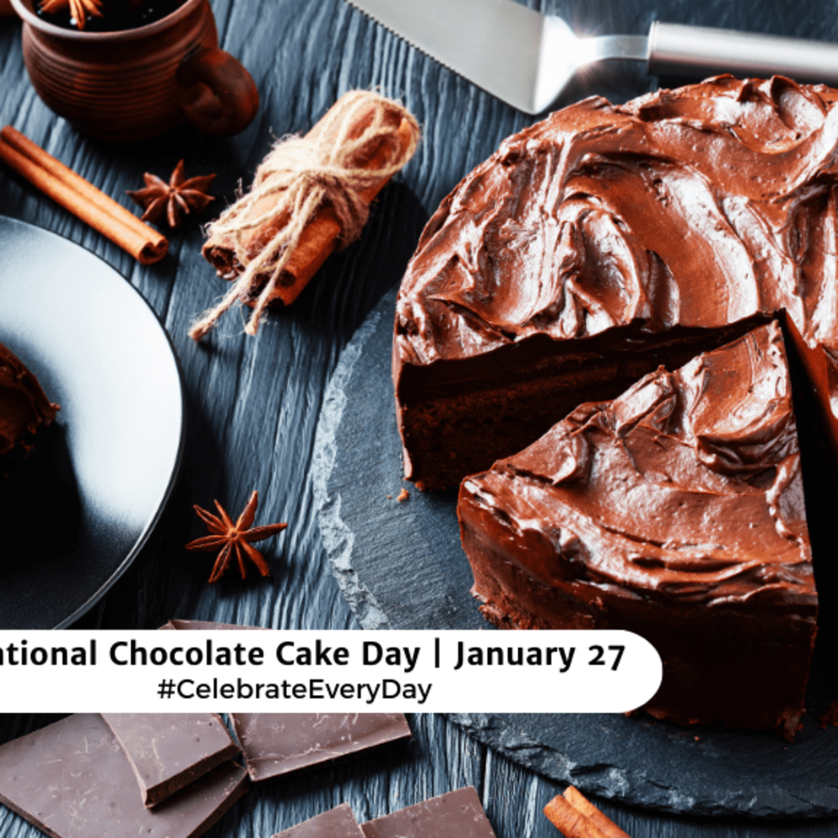 Happy National Chocolate Cake Day! Celebrate January 27th with a delicious  dessert. :) #chocolatecakeday #j… | National chocolate cake day, Cake,  Chocolate craving