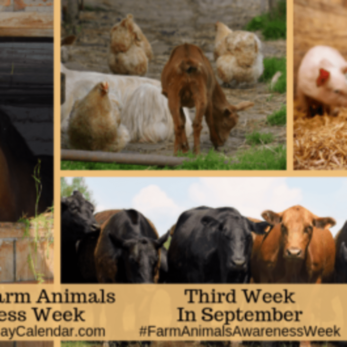 NATIONAL FARM ANIMALS AWARENESS WEEK Third Week in September