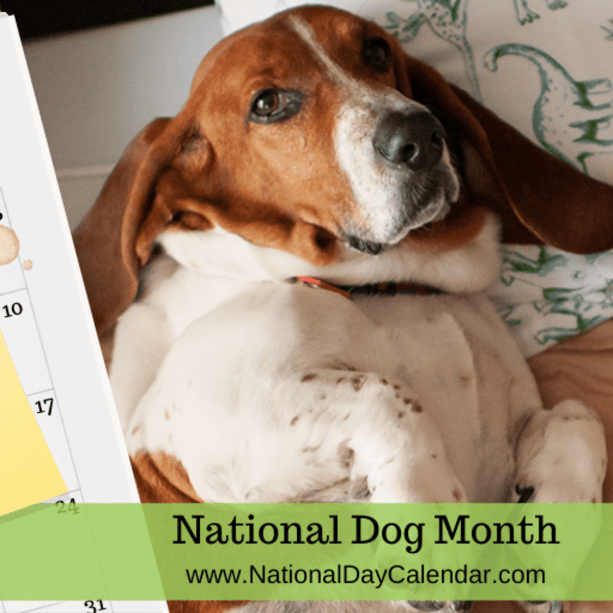 NATIONAL DOG MONTH August National Day Calendar