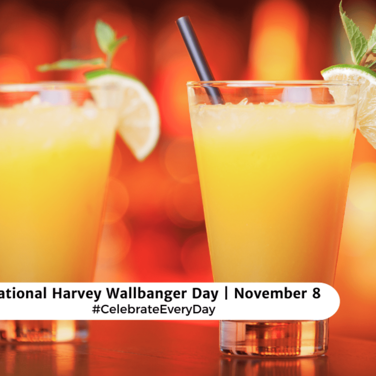 NATIONAL HARVEY WALLBANGER DAY - November 8 - National