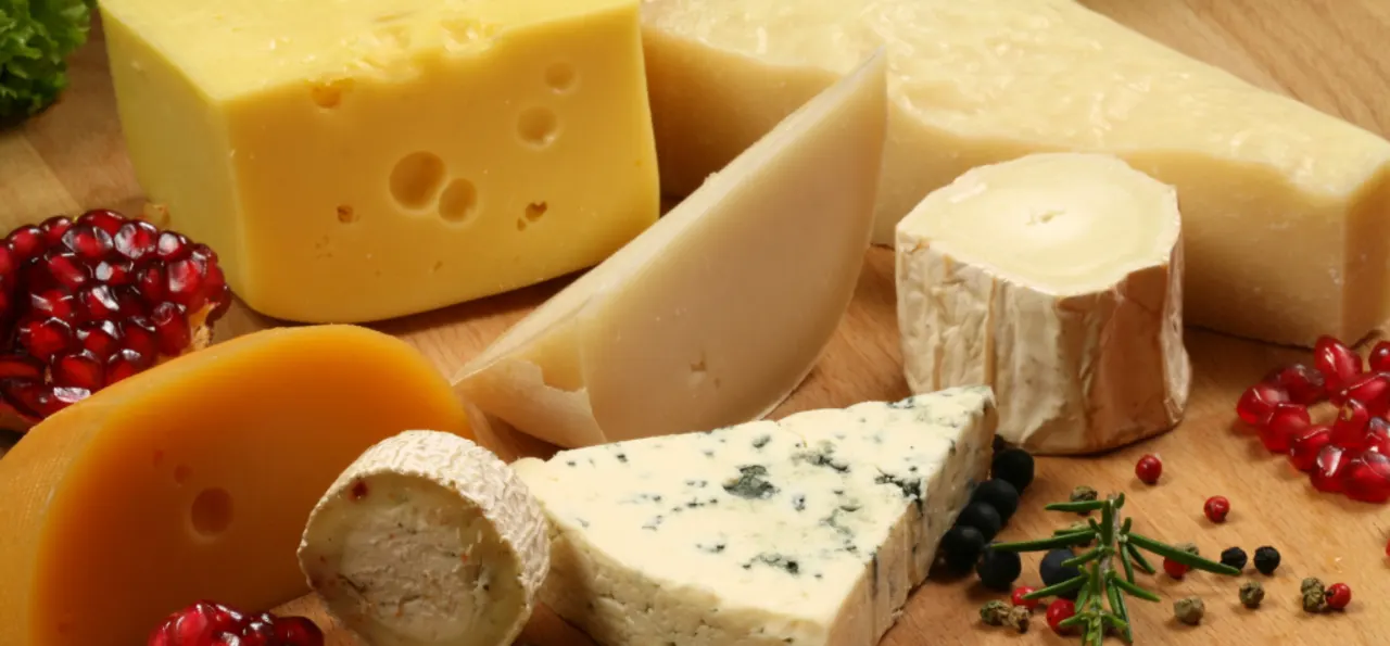 NATIONAL CHEESE LOVER&#x27;S DAY - January 20