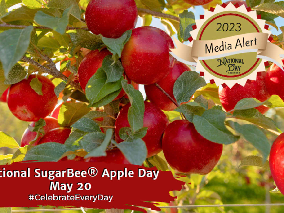 Try A Sweet & Crisp SugarBee Apple – Perfect for Snacking, Baking & More