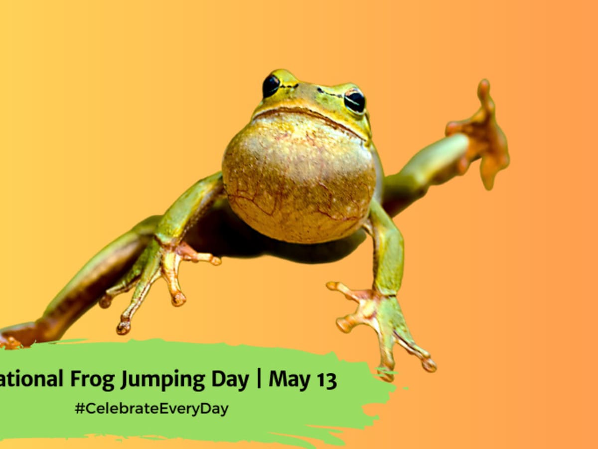 frog jumps