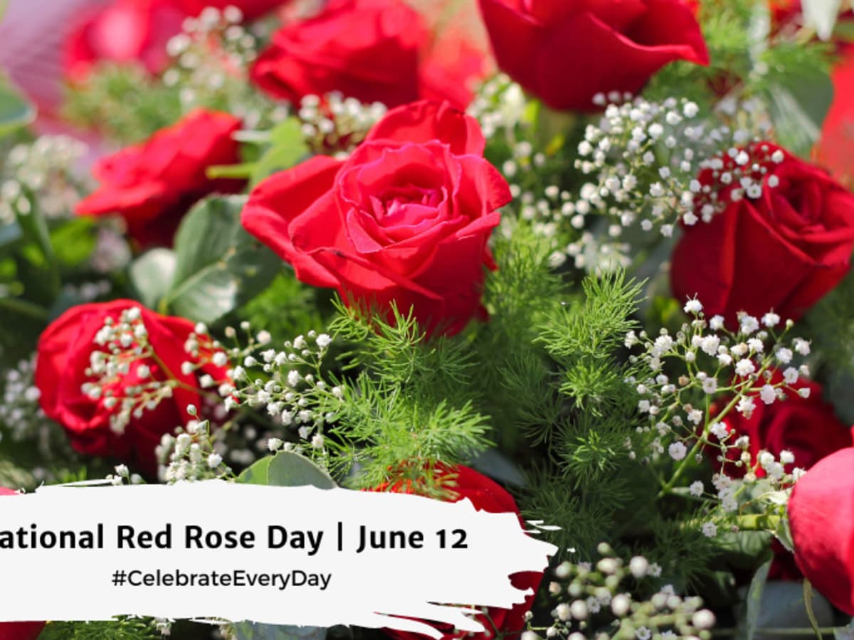 NATIONAL RED ROSE DAY - June 12 - National Day Calendar