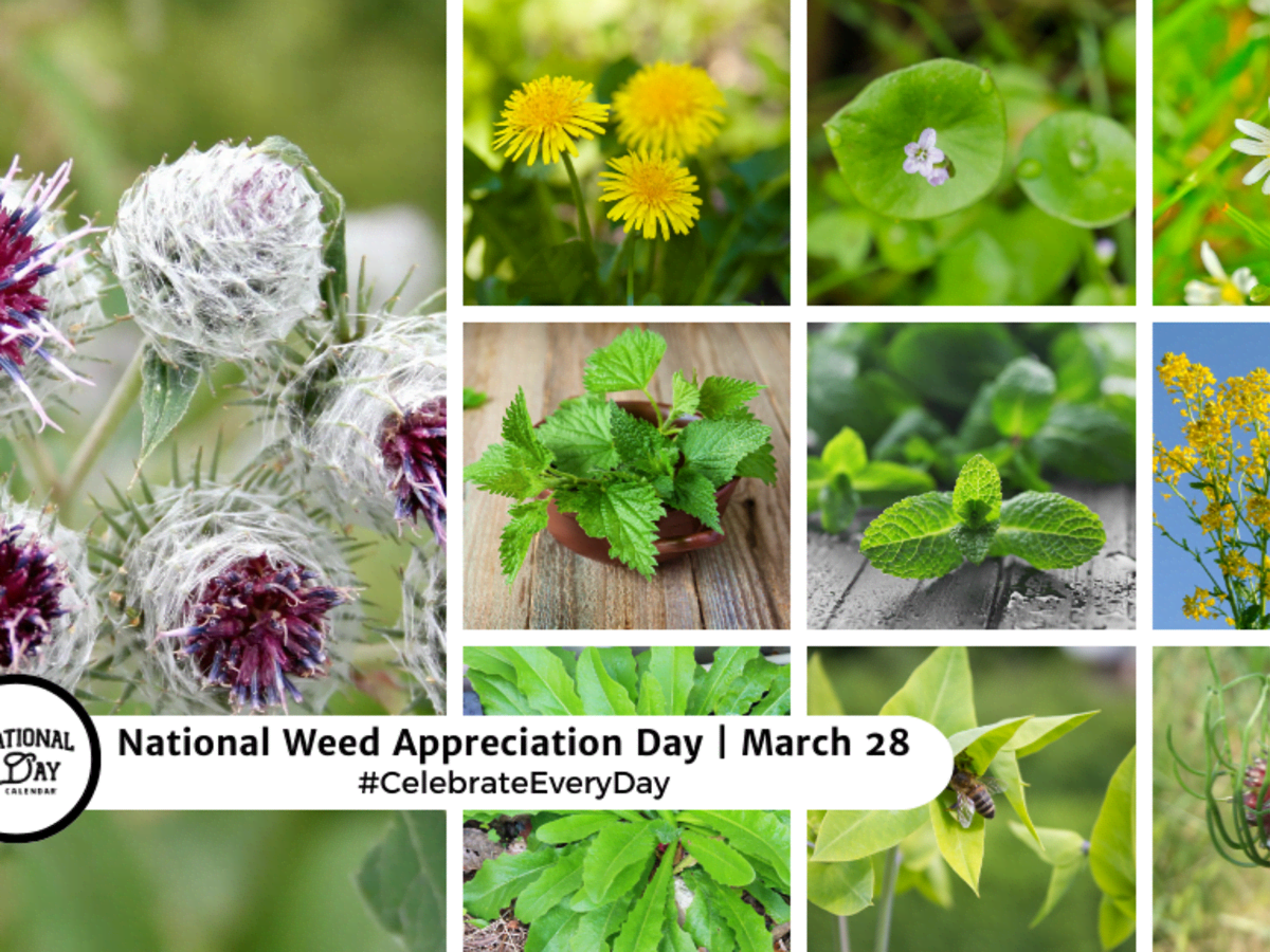 NATIONAL WEED APPRECIATION DAY - March 28 - National Day Calendar