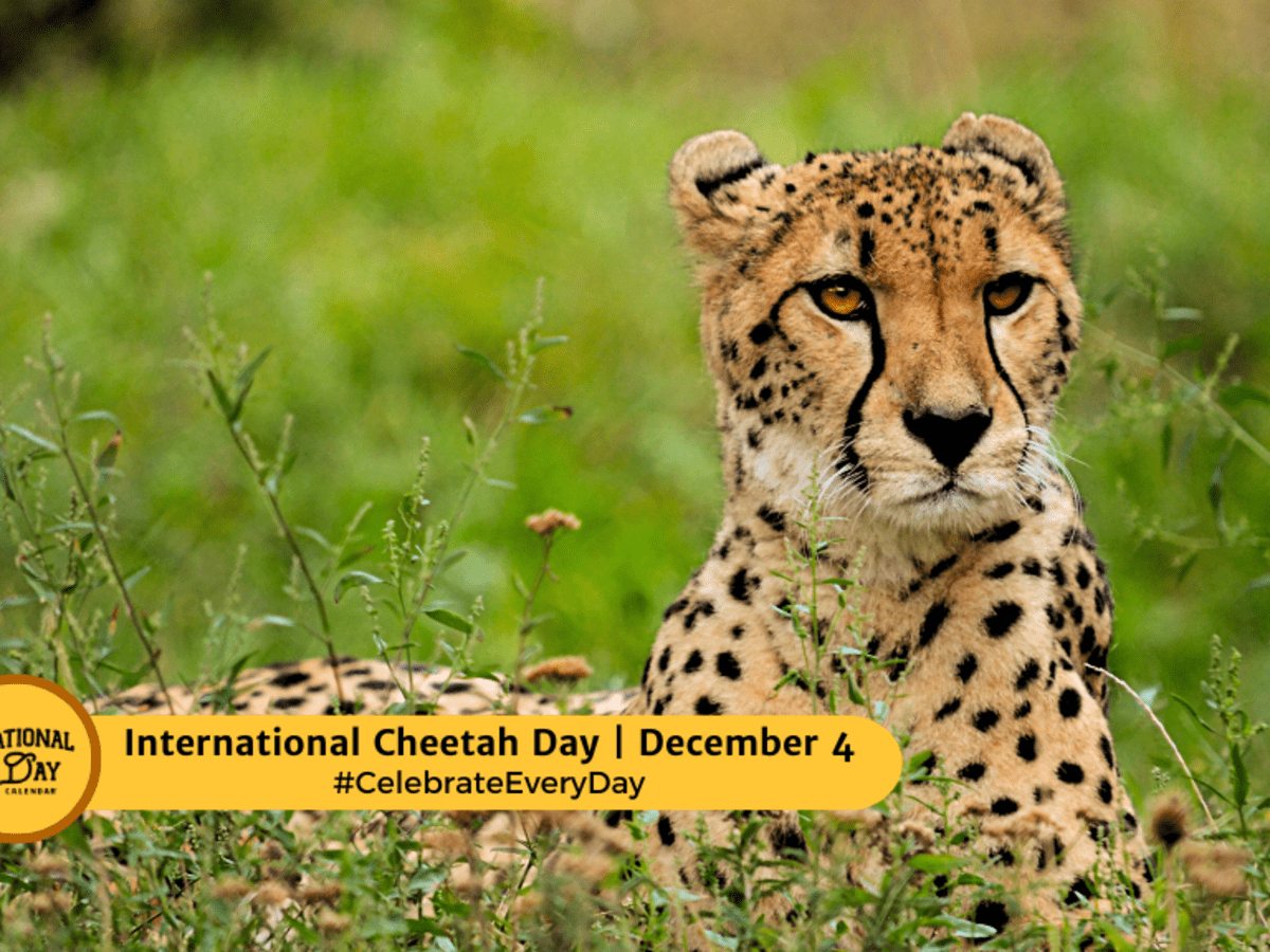 WILDLIFE CONSERVATION DAY - December 4 - National Day Calendar