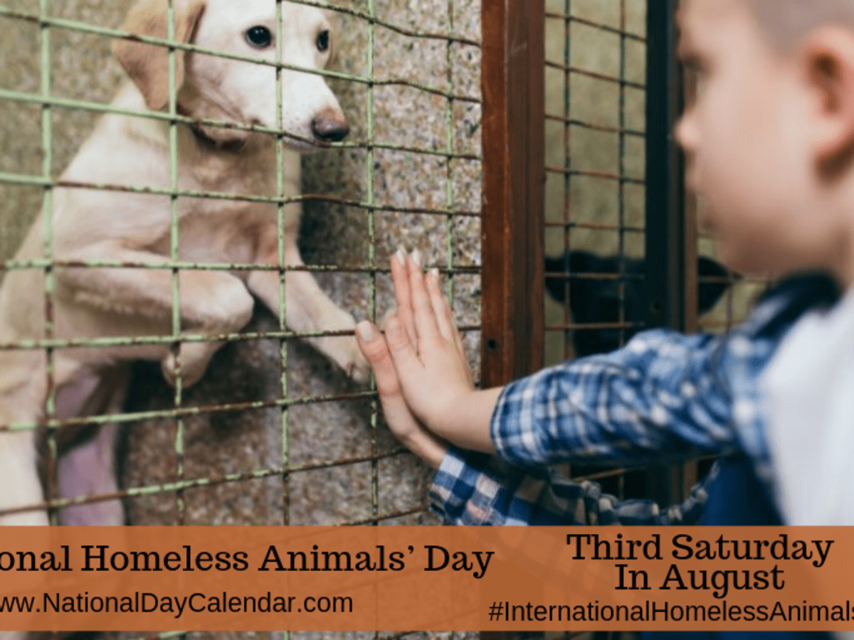 INTERNATIONAL HOMELESS ANIMALS DAY Third Saturday in