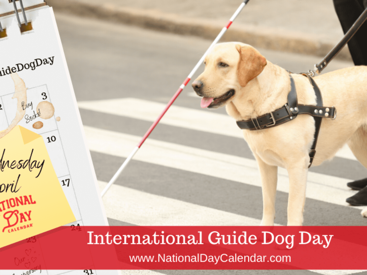 International deals dog day