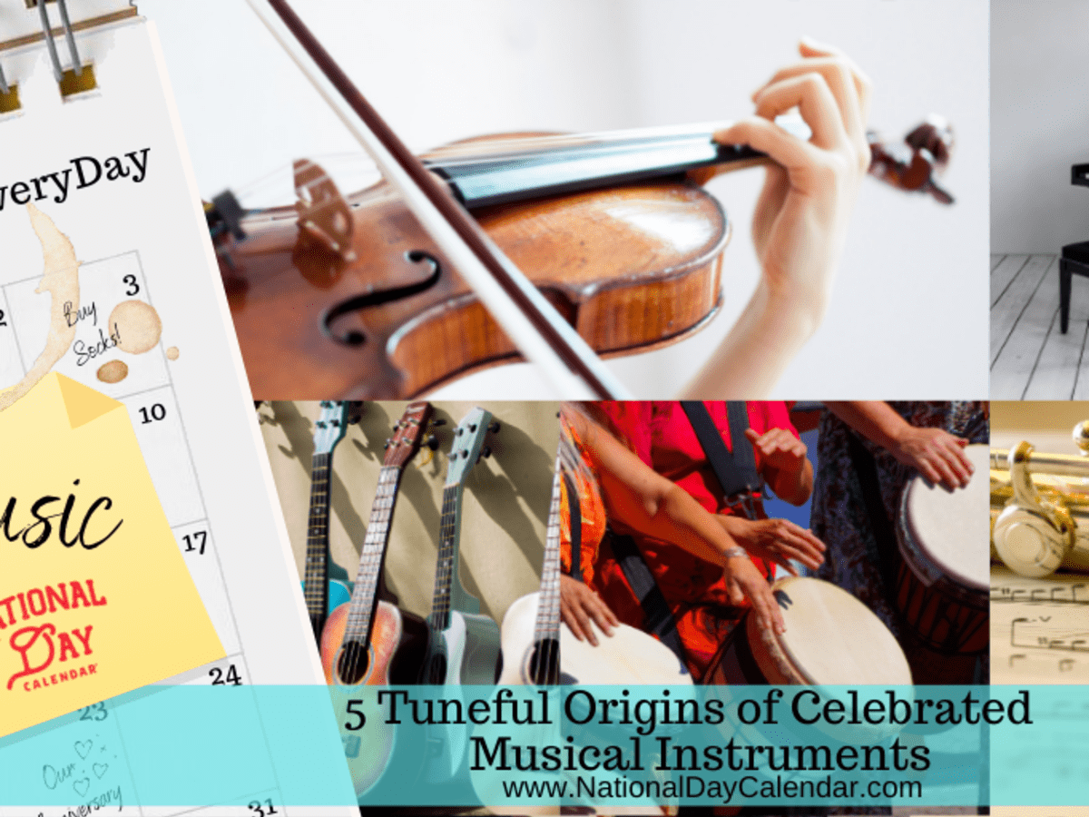 5 different kinds of deals musical instrument