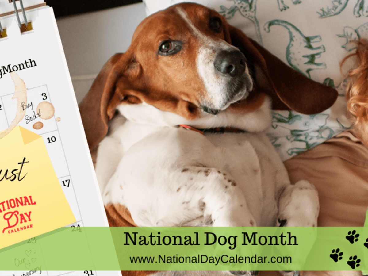 NATIONAL DOG MONTH August National Day Calendar