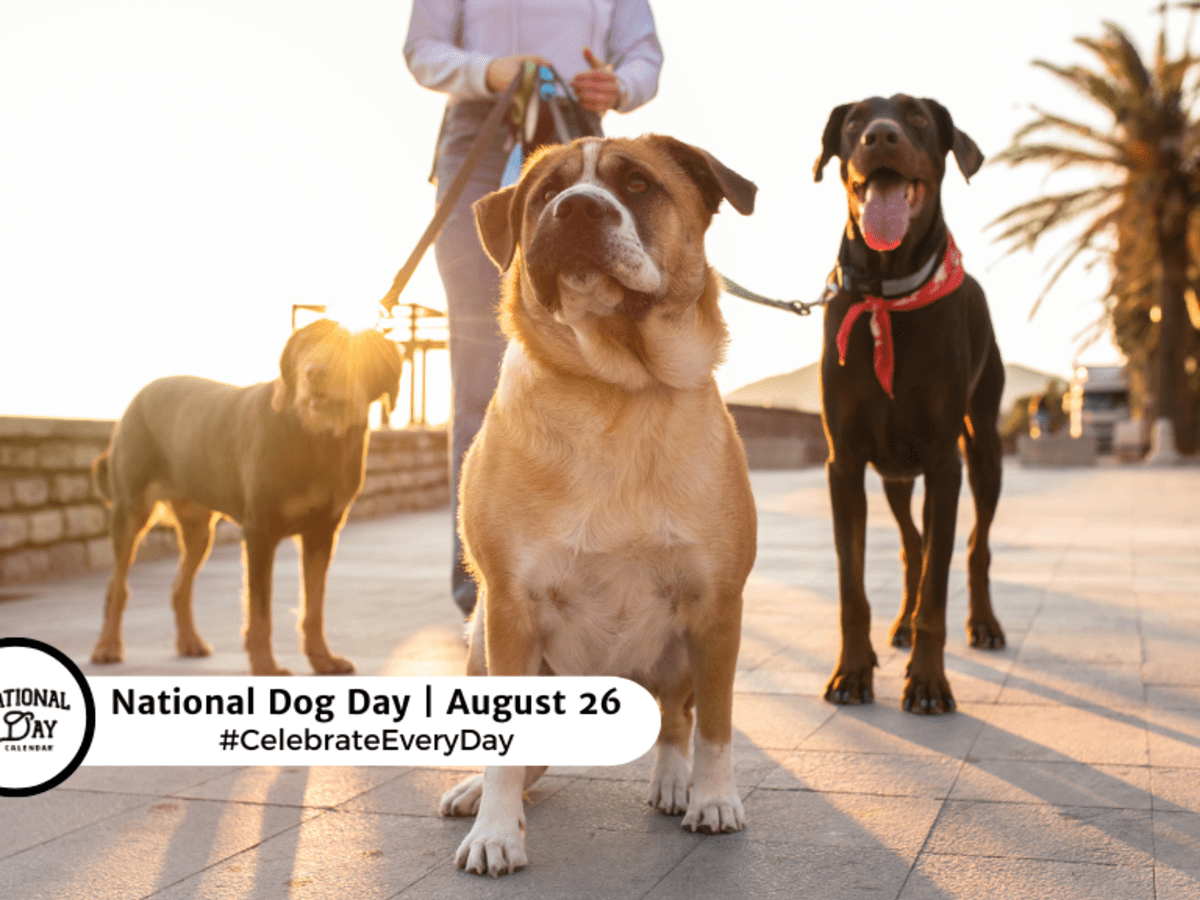 Shops national purebred dog day